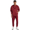 adidas Future Icons Small Logo Sweatjacke Herren KD7666 - active maroon M