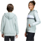 adidas Seasonal Essentials Tiberio 3-Streifen Hoodie Kinder KC2127 - wonder sage/white/dark grey heather 140