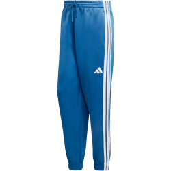 adidas Stadium Jogginghose JZ9449 - dusky petrol/white M