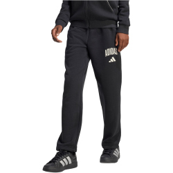 adidas Seasonals Collegiate Typography Jogginghose Kinder...
