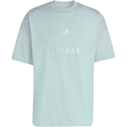 adidas All SZN Embroidered Graphics T-Shirt KC4656 - wonder sage S