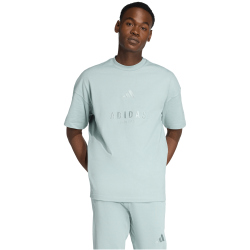 adidas All SZN Embroidered Graphics T-Shirt KC4656 - wonder sage S