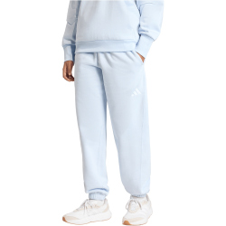 adidas All SZN Loose Fit Trainingshose Damen JY7764 - crystal sky XS