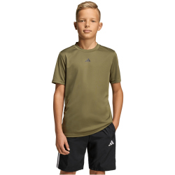 adidas Train Essentials Logo Regular Fit Trainingsshirt Kinder KS5543 - olive strata/black 152
