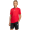 adidas Train Essentials Logo Regular Fit Trainingsshirt Kinder KS5542 - pure ruby/white 176