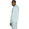 adidas All SZN French Terry Hoodie Herren KC3196 - wonder sage S