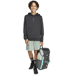 adidas x Minecraft Trainingsshorts Kinder KD0986 - silver green 176