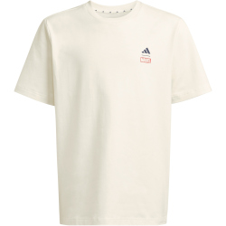 adidas x Marvel Spider-Man Graphics T-Shirt Kinder JZ3555...