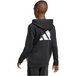 adidas Color Block Hoodie Kinder KB9551 - black/grey...