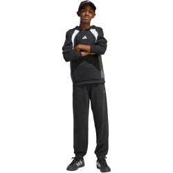 adidas Color Block Hoodie Kinder KB9551 - black/grey...