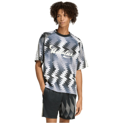 adidas House of Tiro x Common Goal Trikot Herren KE0287 - grey four/black/off white/carbon L