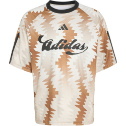 adidas House of Tiro x Common Goal Trikot Herren KE0286 - wonder alumina/dusky bronze/off white/wonder beige XXL