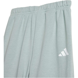 adidas TRNSTR Jogginganzug Kinder KC4618 - wonder sage/white 74