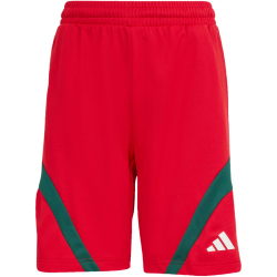 adidas House of Tiro Sweatshorts Kinder KS5480 - better scarlet/white/team dark green 128