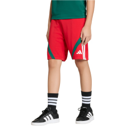 adidas House of Tiro Sweatshorts Kinder KS5480 - better scarlet/white/team dark green 128