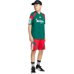 adidas House of Tiro Sweatshorts Kinder KS5480 - better scarlet/white/team dark green 128