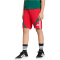 adidas House of Tiro Sweatshorts Kinder KS5480 - better scarlet/white/team dark green 128
