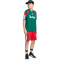 adidas House of Tiro Sweatshorts Kinder KS5480 - better scarlet/white/team dark green 128
