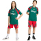 adidas House of Tiro Sweatshorts Kinder KS5480 - better scarlet/white/team dark green 128