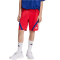 adidas House of Tiro Sweatshorts Kinder KD3447 - pure ruby/white/mystery ink 116
