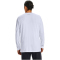 UNDER ARMOUR Sportstyle Left Chest langarm Freizeitshirt Herren