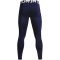 UNDER ARMOUR ColdGear Tights Herren