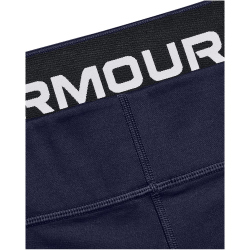 UNDER ARMOUR ColdGear Authentic Leggings Damen