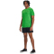 UNDER ARMOUR Vanish 6" Trainingsshorts Herren