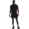 UNDER ARMOUR Icon Volley Shorts Herren