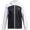 UNDER ARMOUR Stormproof Cloudstrike Windbreaker Damen