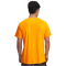 UNDER ARMOUR Trail Run Laufshirt Herren
