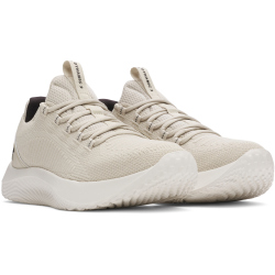 UNDER ARMOUR Dynamic 2 Fitnessschuhe Herren