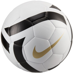 10er Ballpaket NIKE Legacy Elite Fußball...