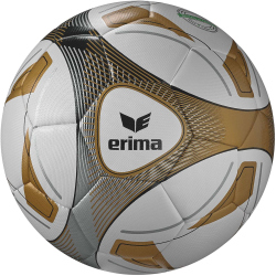 10er Ballpaket erima Hybrid Fußball Trainingsball...