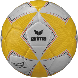 10er Ballpaket erima Senzor-Star Lite 290g...
