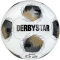 10er Ballpaket DERBYSTAR Brillant TT Fußball Trainingsball weiß/silber/gold 5