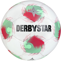 10er Ballpaket DERBYSTAR Tempo TT Fußball...