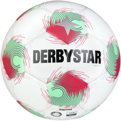 10er Ballpaket DERBYSTAR Tempo TT Fußball...