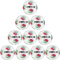10er Ballpaket DERBYSTAR Tempo TT Fußball Trainingsball weiß/rot/grün 5