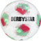 10er Ballpaket DERBYSTAR Tempo TT Fußball Trainingsball weiß/rot/grün 5