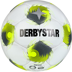 10er Ballpaket DERBYSTAR Brillant TT AG Kunstrasen...