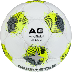 10er Ballpaket DERBYSTAR Brillant TT AG Kunstrasen...