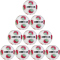 10er Ballpaket DERBYSTAR Tempo APS Fußball Spielball weiß/rot/grün 5