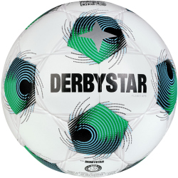 10er Ballpaket DERBYSTAR Planet APS Fußball...