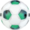 10er Ballpaket DERBYSTAR Planet APS Fußball Spielball weiß/grün/blau 5
