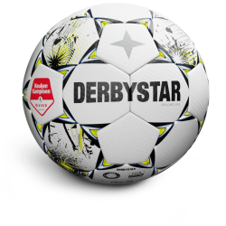 10er Ballpaket DERBYSTAR Eerste Divisie Brillant APS...