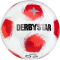 10er Ballpaket DERBYSTAR Apus TT DB Fußball Trainingsball
