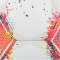 10er Ballpaket DERBYSTAR Bundesliga Magic APS Fußball Spielball 2025/26 weiss/grün/rot 5
