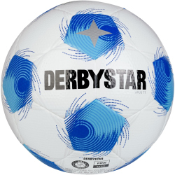 10er Ballpaket DERBYSTAR Apus TT DB Fußball...