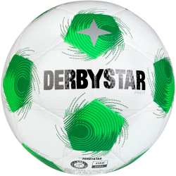 10er Ballpaket DERBYSTAR Apus TT DB Fußball...